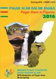 Pagar Alam Municipality in Figures 2016